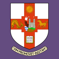 University Bristol Vintage Hoodie | Teevron