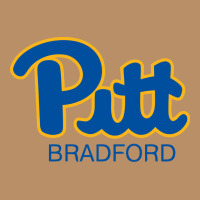 Pitt Bradford, University Of Pittsburgh At Bradford, Vintage Hoodie | Teevron
