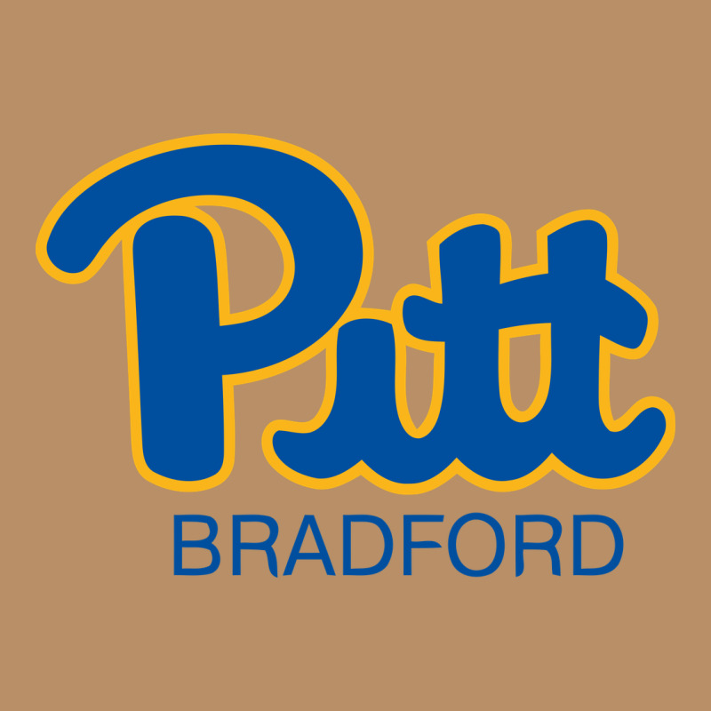 Pitt Bradford, University Of Pittsburgh At Bradford, Vintage Hoodie by linhVisuals | Teevron