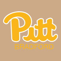 Pitt Bradford, University Of Pittsburgh At Bradford, Vintage Hoodie | Teevron