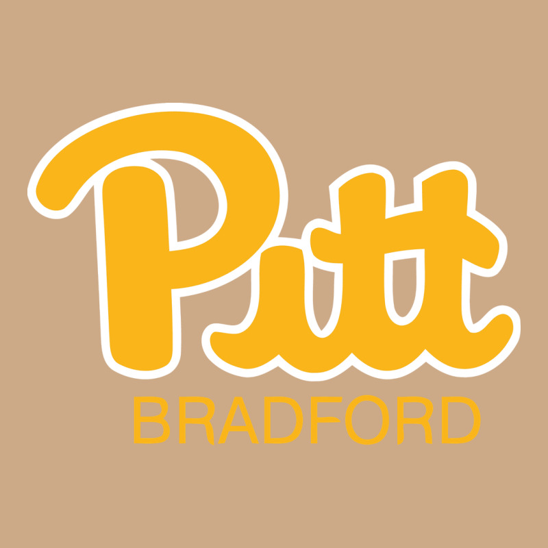 Pitt Bradford, University Of Pittsburgh At Bradford, Vintage Hoodie by linhVisuals | Teevron