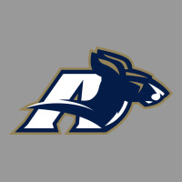 Akron University Zips Vintage Hoodie | Teevron
