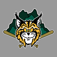 Lynchburg Hillcats Baseball Vintage Hoodie | Teevron