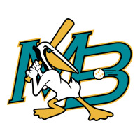 the myrtle beach pelicans baseball | Teevron
