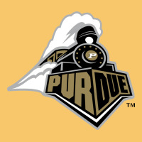 Purdue Boilermakers Vintage Hoodie | Teevron