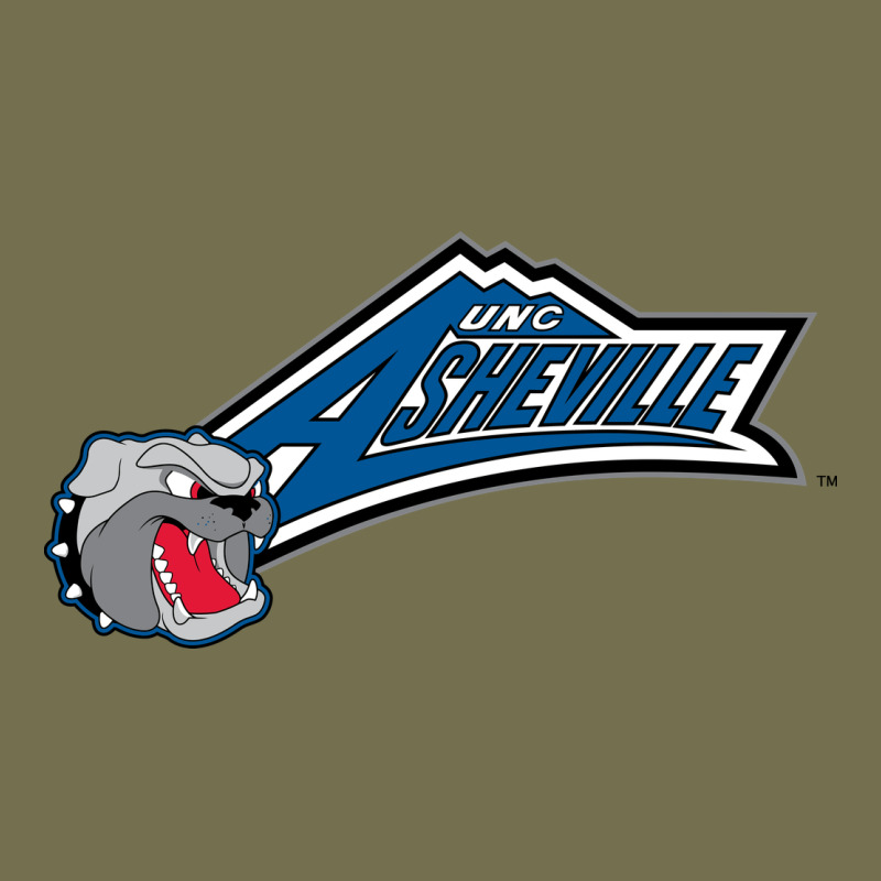 Unc Asheville Bulldogs Vintage Hoodie by linhVisuals | Teevron