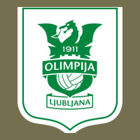 Eiteun Olimpija Ljubljana Vintage Hoodie | Teevron