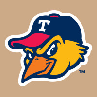 Suitable-toledo-mud-hens-worn Vintage Hoodie | Teevron