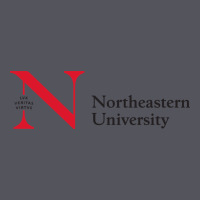 The The Northeastern Vintage Hoodie | Teevron