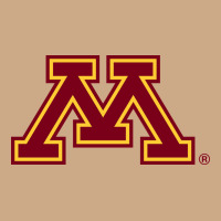 The University Of Minnesota Vintage Hoodie | Teevron