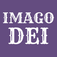 Imago Dei Image Of God Christian T Shirt Reformed Jesus Vintage Hoodie | Teevron