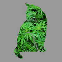 Funny Cannabis & Cat Lover Marijuana Weed Smoker Art T Shirt Vintage Hoodie | Teevron