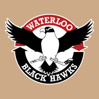 Waterlooblackhawks Vintage Hoodie | Teevron