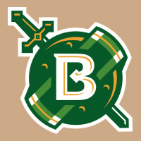 Belhaven University Vintage Hoodie | Teevron