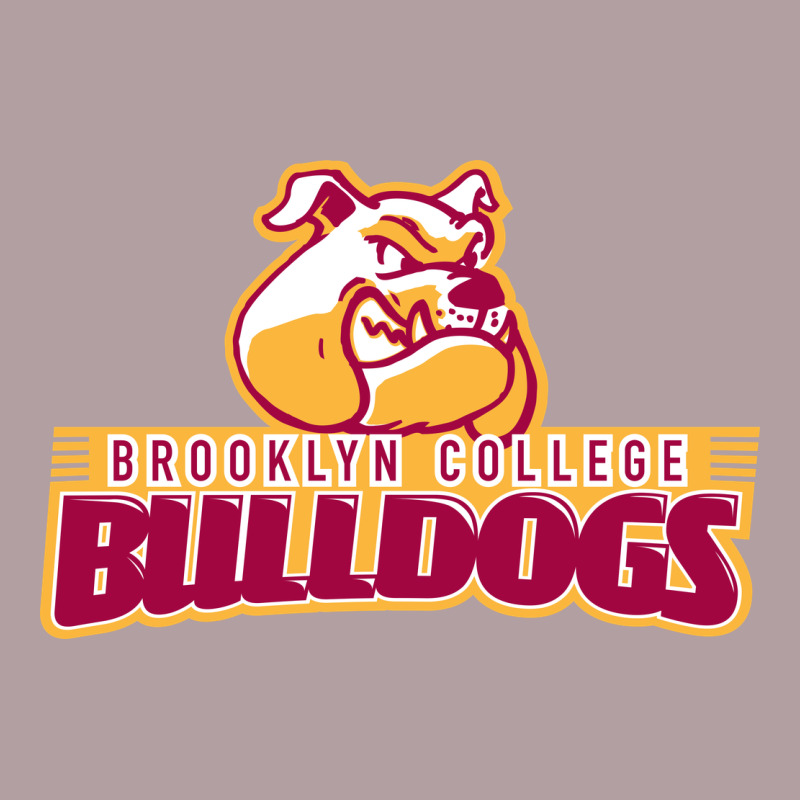 Brooklyn College Vintage Hoodie by linhVisuals | Teevron