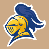 Carleton College Vintage Hoodie | Teevron