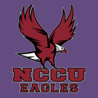 Nccu Eagles Vintage Hoodie | Teevron
