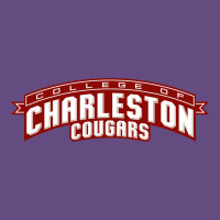 Charleston Cougars Vintage Hoodie | Teevron
