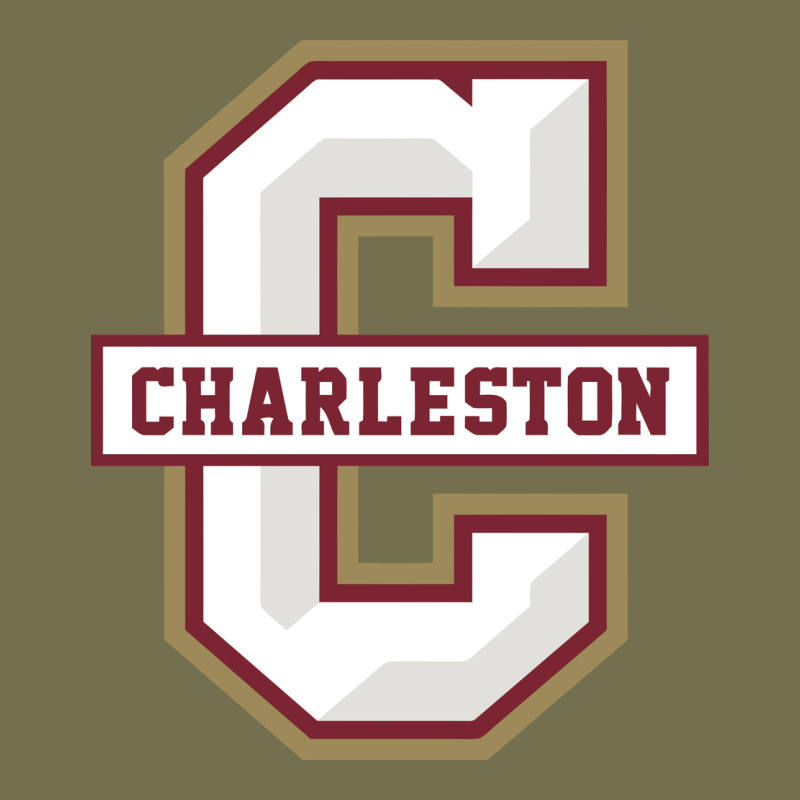 Charleston Cougars Vintage Hoodie by linhVisuals | Teevron