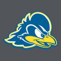 Delaware Blue Hens Vintage Hoodie | Teevron
