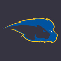 Hofstra Pride Vintage Hoodie | Teevron