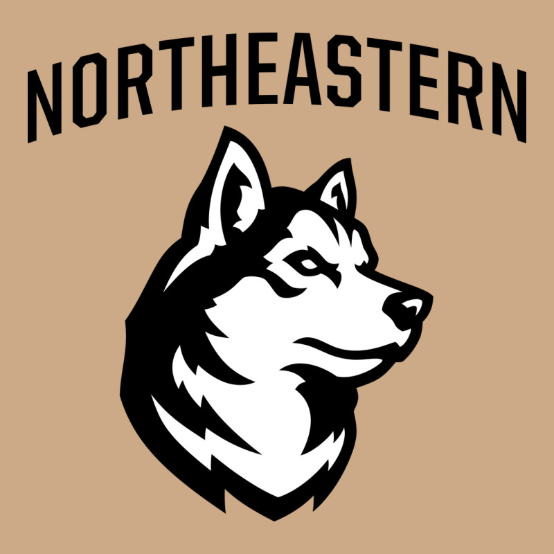 Northeastern Huskies Vintage Hoodie by linhVisuals | Teevron