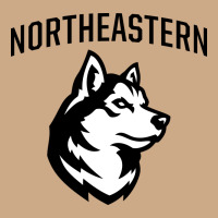 Northeastern Huskies Vintage Hoodie | Teevron