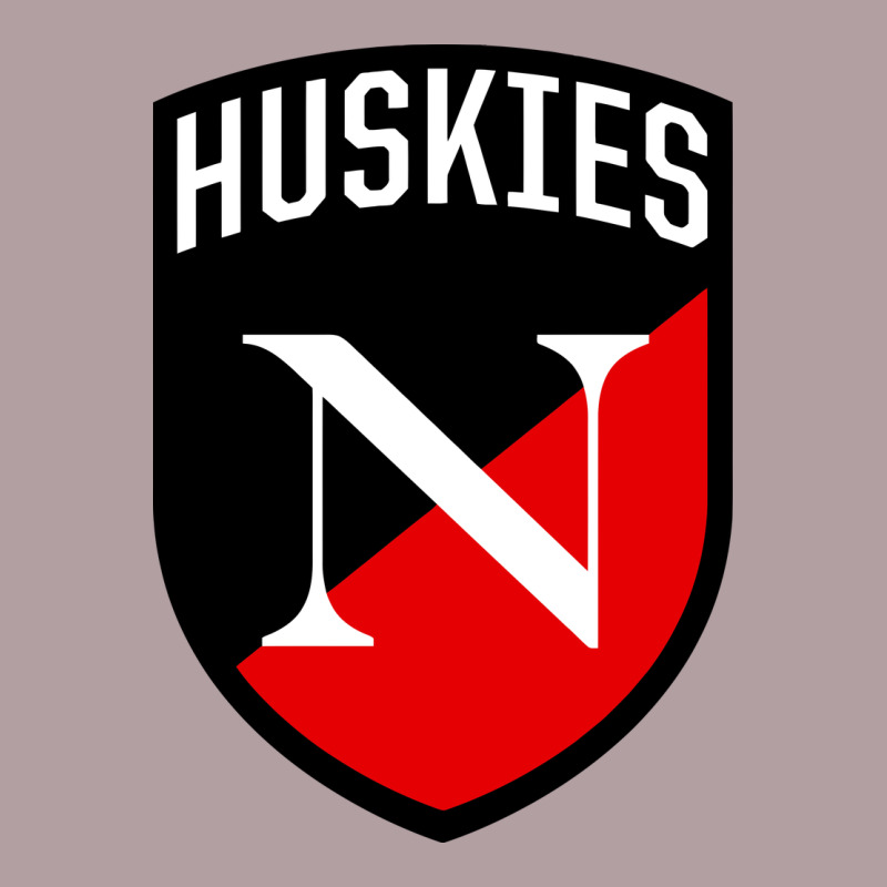 Northeastern Huskies Vintage Hoodie by linhVisuals | Teevron
