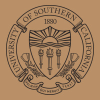 .university Of Southern California Vintage Hoodie | Teevron