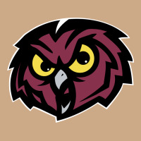 Temple Owls Vintage Hoodie | Teevron