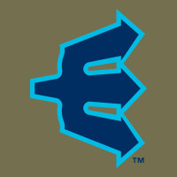 Everett Aquasox Vintage Hoodie | Teevron