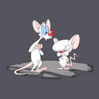 Newanimaniacs Pinky And The Brain Vintage Hoodie | Teevron