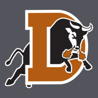 Durham-bulls Vintage Hoodie | Teevron