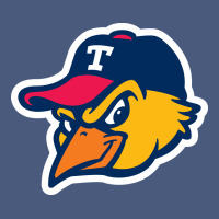 Toledo-mud-hens Vintage Hoodie | Teevron