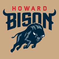 Howard Bison Vintage Hoodie | Teevron