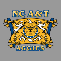 North Carolina A&t Aggies Vintage Hoodie | Teevron