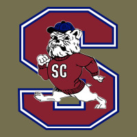 South Carolina State Bulldogs Vintage Hoodie | Teevron