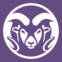 Colorado State Rams Vintage Hoodie | Teevron