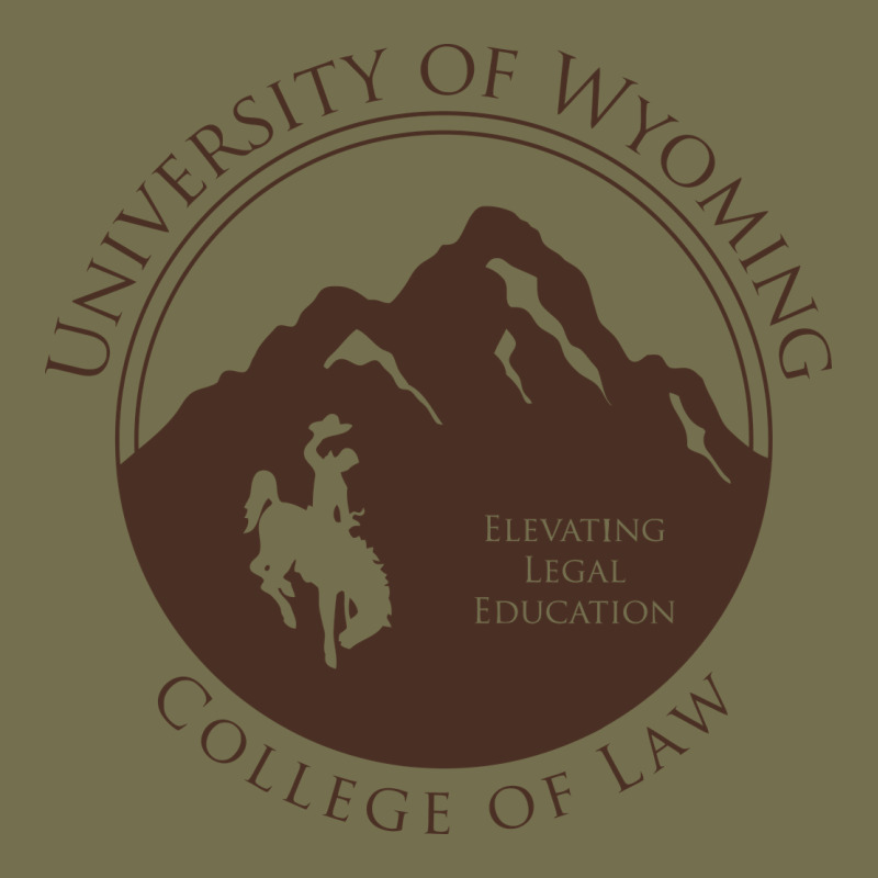 University Of Wyoming Cowboys Vintage Hoodie by linhVisuals | Teevron