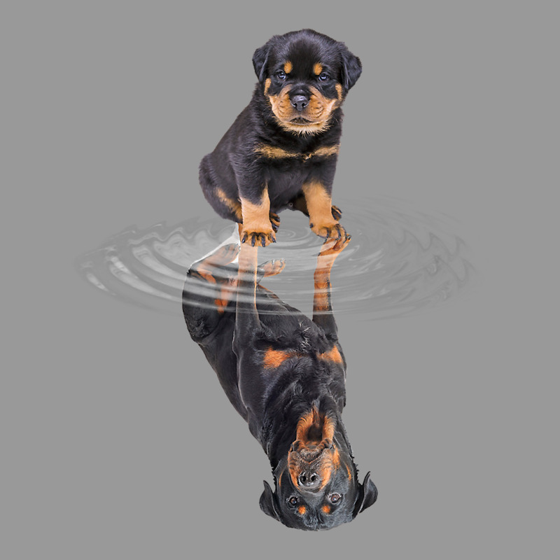 Rottweiler Reflection T Shirt Funny Father's Day Dog Gifts Vintage Hoodie by linhVisuals | Teevron