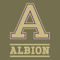 Albion College Athleticpurple Vintage Hoodie | Teevron
