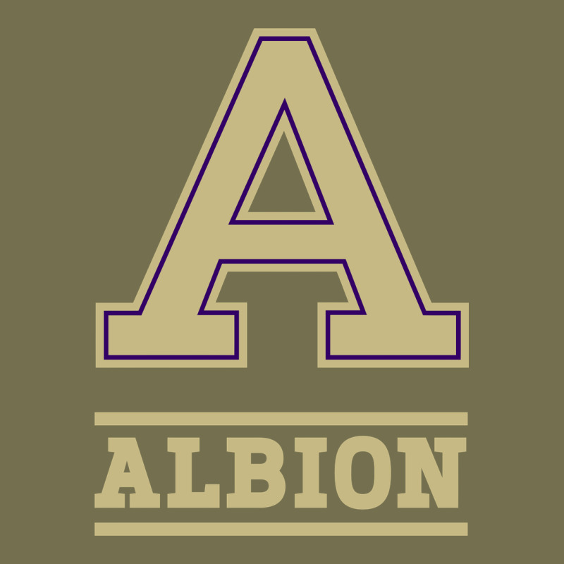 Albion College Athleticpurple Vintage Hoodie by linhVisuals | Teevron