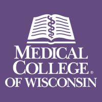 Medical College Of Wisconsin Vintage Hoodie | Teevron