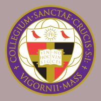 College Of The Holy Cross Vintage Hoodie | Teevron