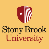 Stony Brook University Vintage Hoodie | Teevron