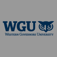 W Governors, Education, Wgu Vintage Hoodie | Teevron