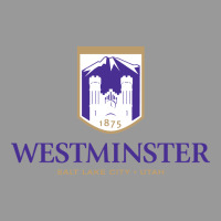 Westminster, Sudies In Utah Vintage Hoodie | Teevron
