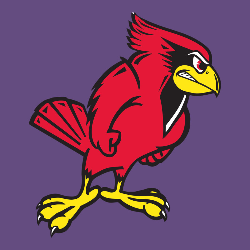 Illinois State Redbirds Vintage Hoodie by linhVisuals | Teevron