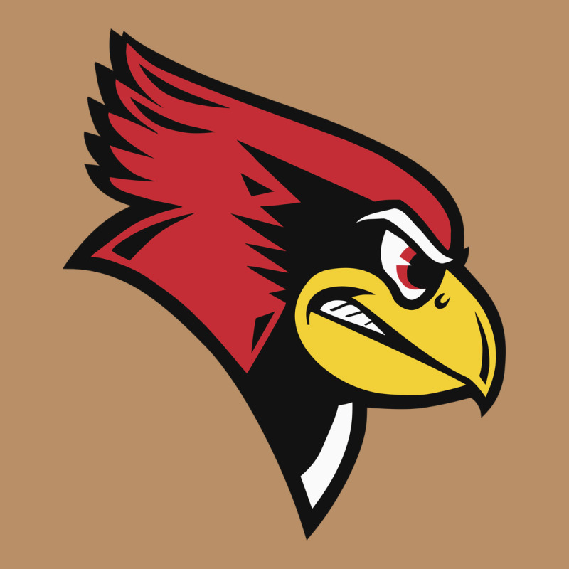 Illinois State Redbirds Vintage Hoodie by linhVisuals | Teevron