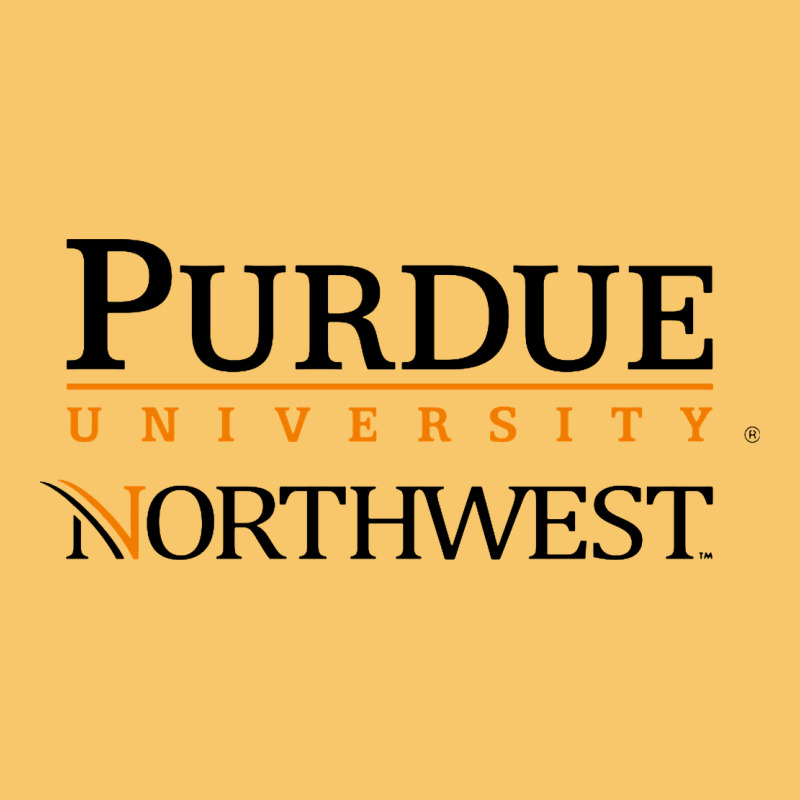 Purdue University Northwest Vintage Hoodie by linhVisuals | Teevron